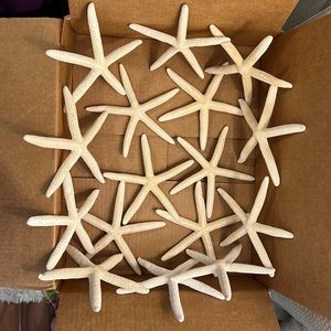 16 Bleached out real starfish (not artificial/plaster).